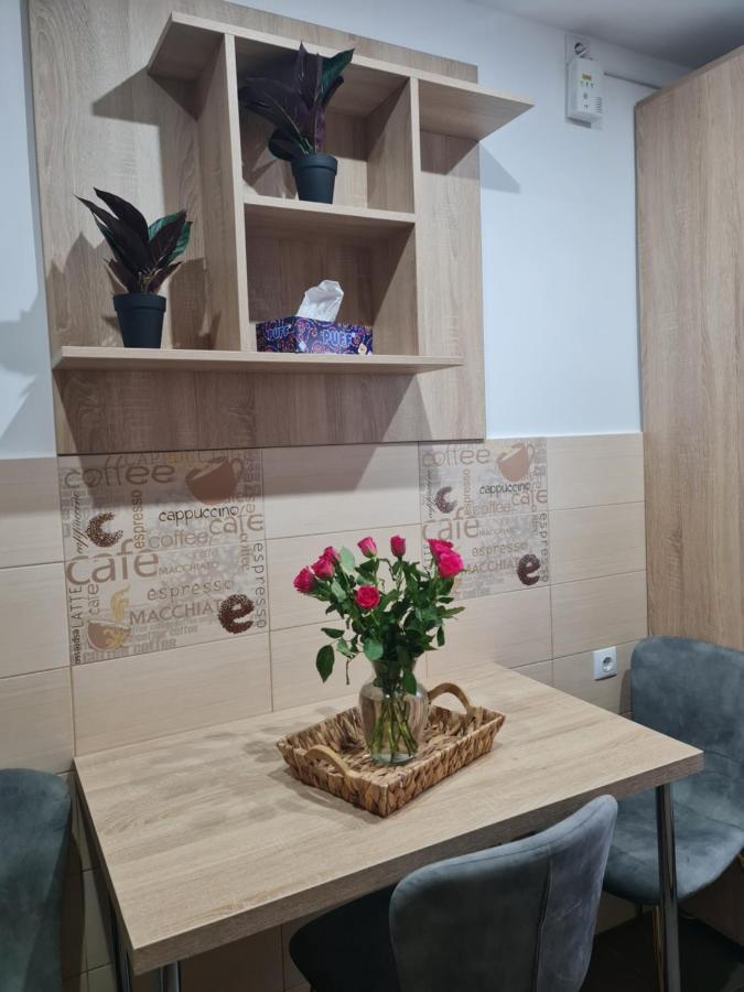 Apartament Modern Cristina&Jessica Mediaş Εξωτερικό φωτογραφία