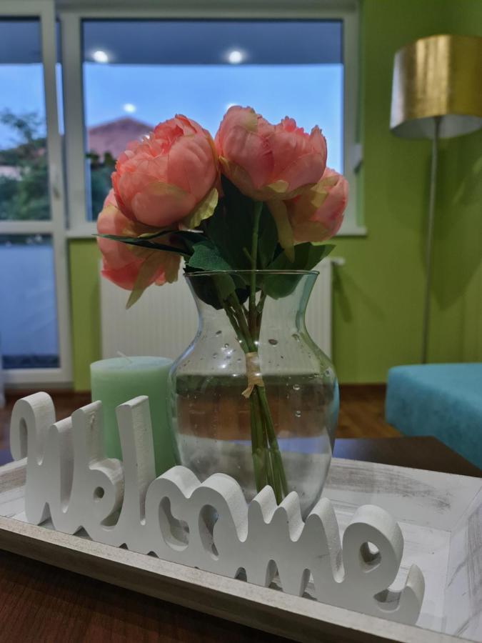 Apartament Modern Cristina&Jessica Mediaş Εξωτερικό φωτογραφία