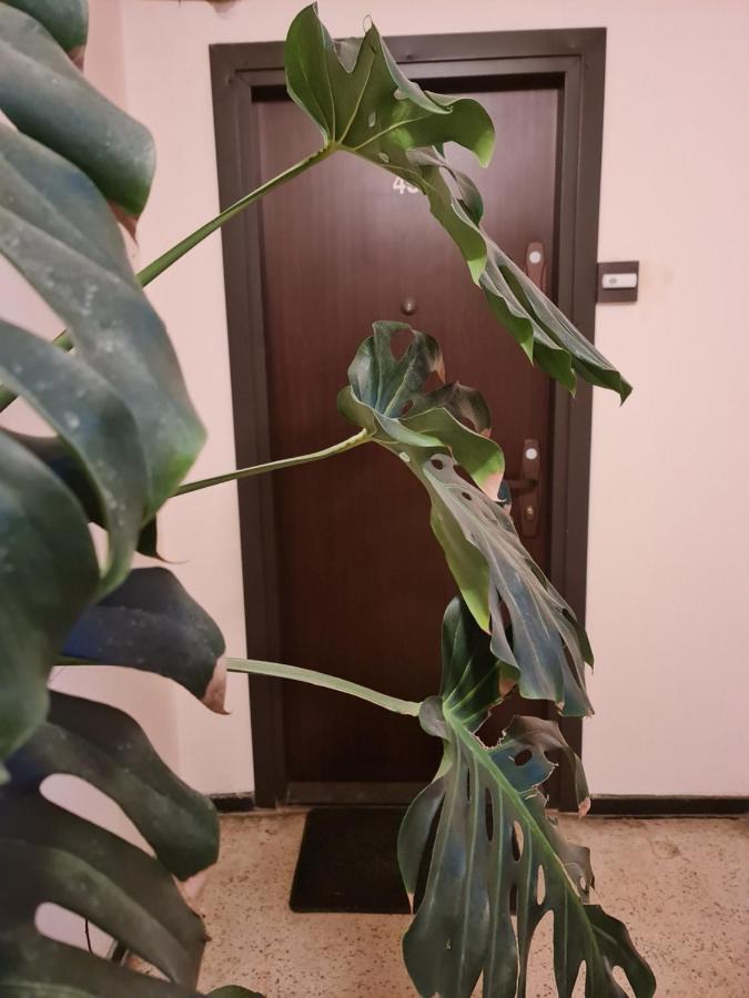Apartament Modern Cristina&Jessica Mediaş Εξωτερικό φωτογραφία