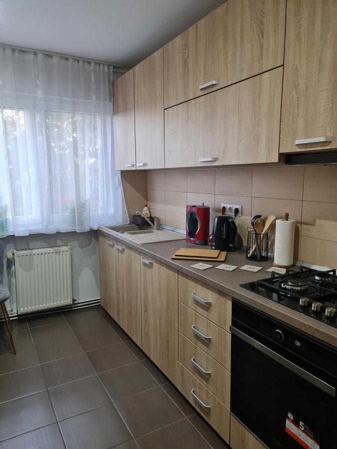 Apartament Modern Cristina&Jessica Mediaş Εξωτερικό φωτογραφία