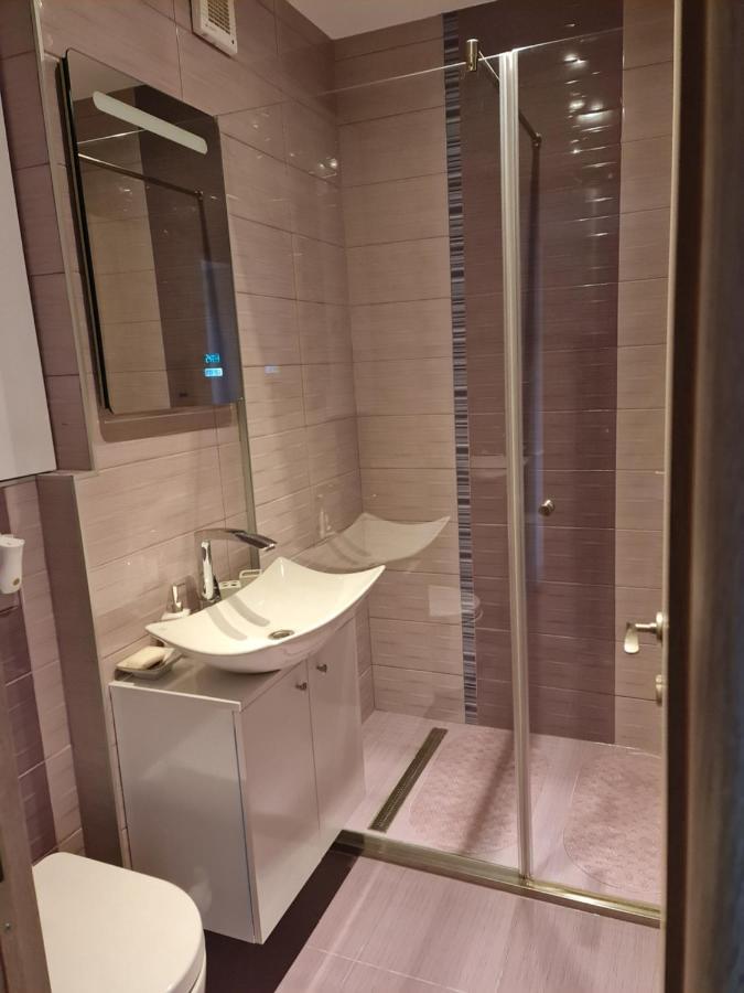 Apartament Modern Cristina&Jessica Mediaş Εξωτερικό φωτογραφία