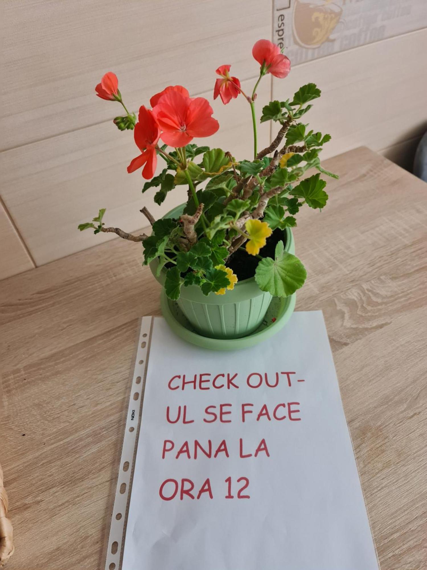 Apartament Modern Cristina&Jessica Mediaş Εξωτερικό φωτογραφία