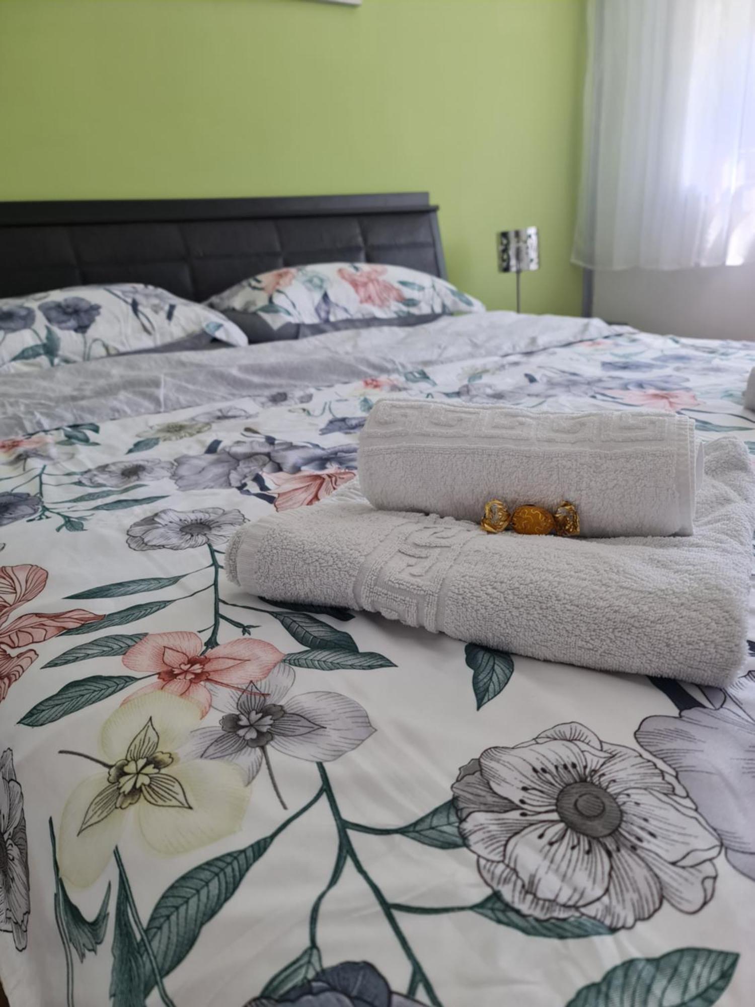 Apartament Modern Cristina&Jessica Mediaş Εξωτερικό φωτογραφία